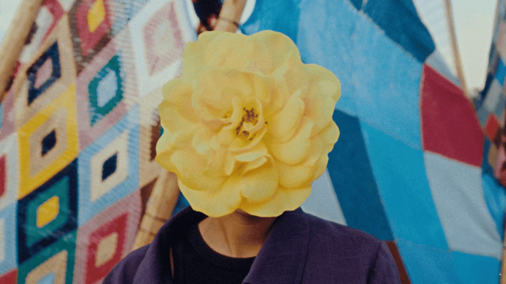 Creative video agency with vibrant visuals and colorful backgrounds.
